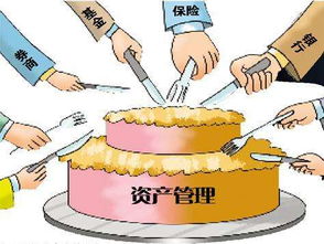 上海資產(chǎn)管理公司的經(jīng)營(yíng)范圍詳解